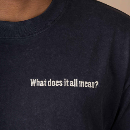 Q2 What does it all mean? - Acid Black T-Shirt